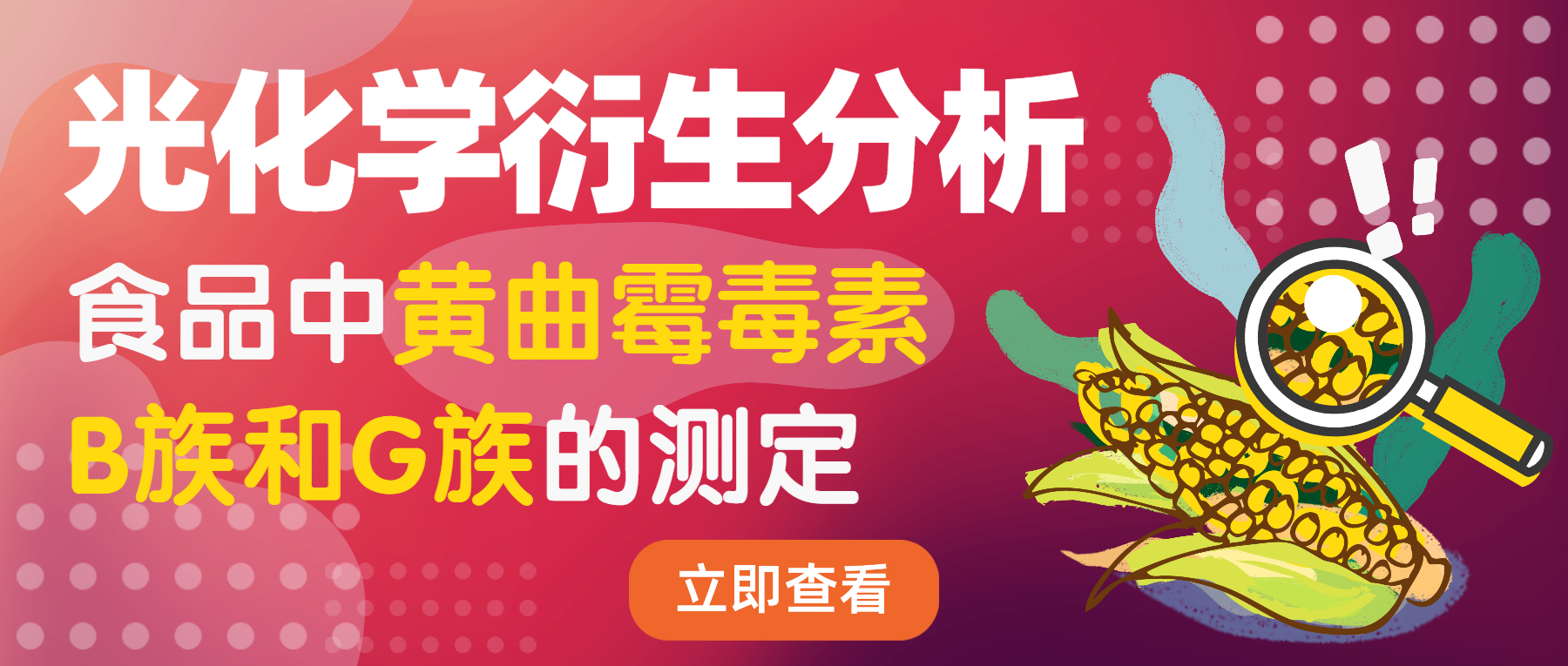 光化學(xué)衍生分析-食品中黃曲霉毒素B族和G族的測定